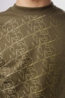 Футболка DVS Outline Olive 2009 г инфо 1733w.