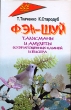 Фэн-шуй Талисманы и амулеты из драгоценных камней и бисера Серия: Все обо всем инфо 13991p.
