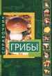 Грибы Справочник Издательство: Юнвес Твердый переплет, 432 стр ISBN 5-88682-049-3 Тираж: 10000 экз Формат: 60x84/32 (~100х140 мм) инфо 360q.